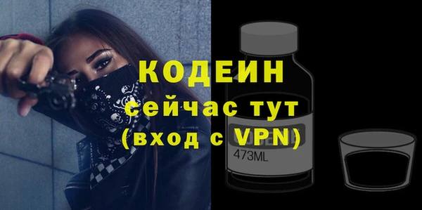 твердый Карпинск