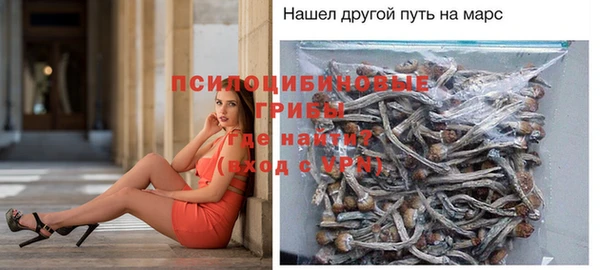 твердый Карпинск
