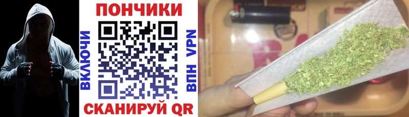 Конопля сатива  Купить где  Черепаново 